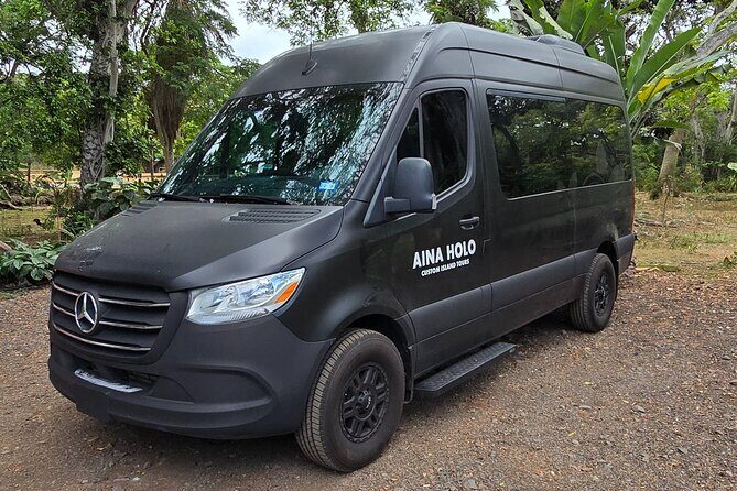 Ko Olina Kapolei Private Airport Transfer Up to 10 Guests - The Sum Up