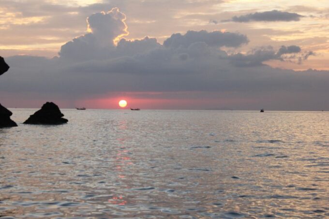 Ko Phi Phi Don: Speedboat Day Trip With Shark Snorkeling - Booking and Cancellation Policy