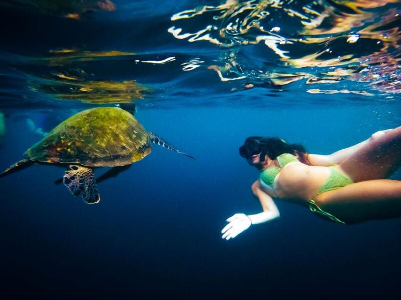 Ko Tao: Late Riser Snorkeling Tour With Lunch and Photos - Itinerary and Activities