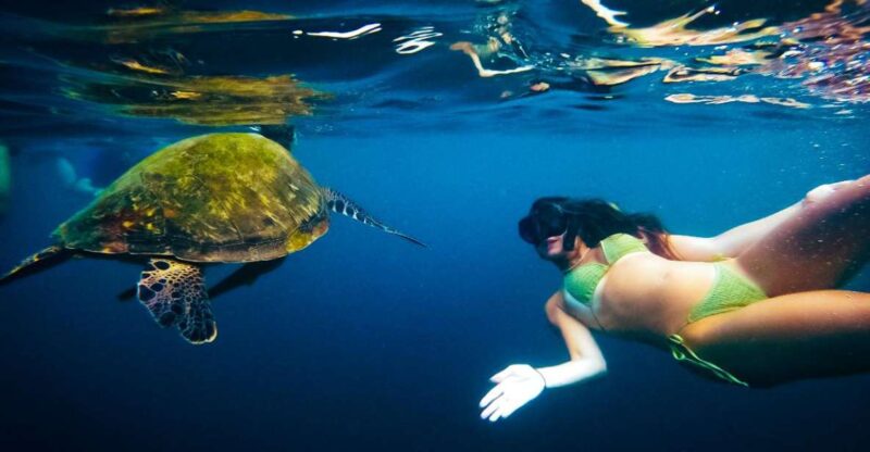 Ko Tao: Late Riser Snorkeling Tour With Lunch and Photos - Inclusions and Requirements