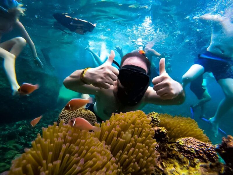 Ko Tao: Late Riser Snorkeling Tour With Lunch and Photos - Participant Restrictions and Recommendations