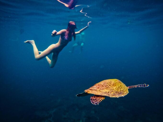 Ko Tao: Late Riser Snorkeling Tour With Lunch and Photos - Snorkeling at Mango Bay and Beyond