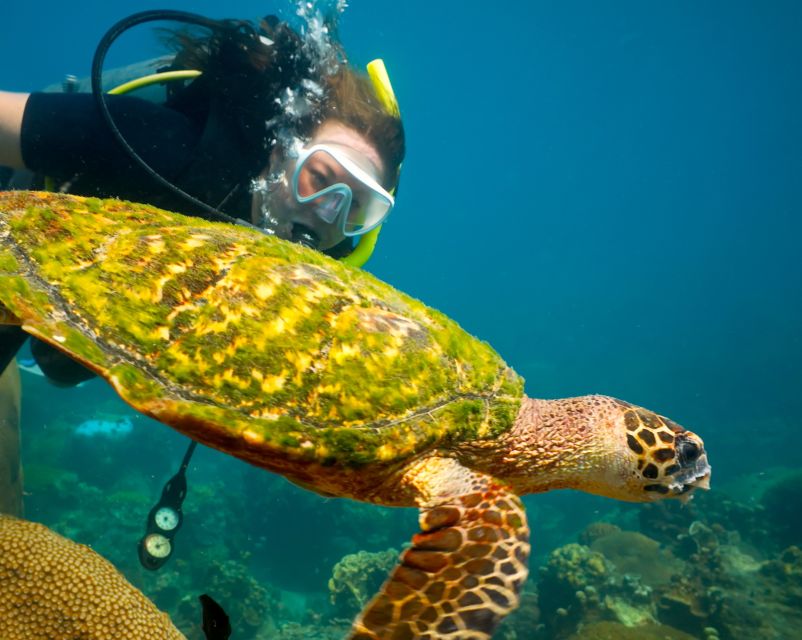 Ko Tao: Open Water Scuba Diving 4-Day Course - Instructor Expertise