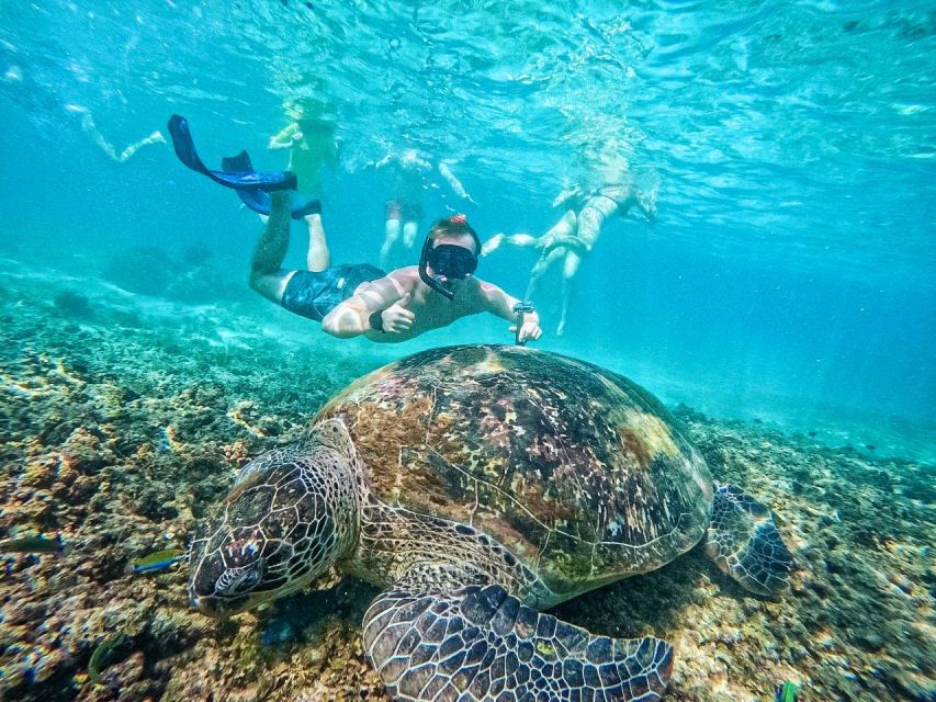 Ko Tao: Snorkeling Day Trip to Koh Nang Yuan With Meals - Restrictions