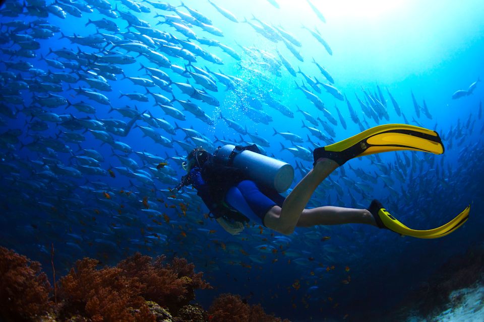 Ko Tao: Try Scuba Diving 1-Day Experience - Activity Details