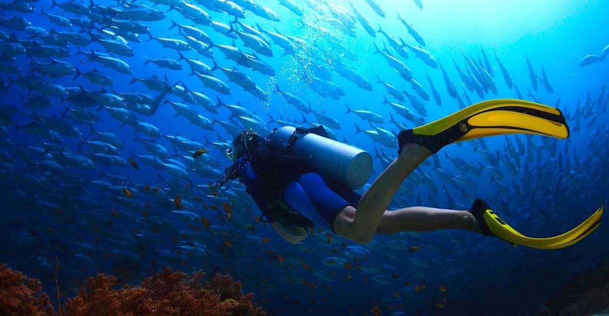 Ko Tao: Try Scuba Diving 1-Day Experience - Refreshments and Optional Dive