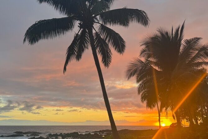 KOA to Waikoloa Resorts Luxury Private Round Trip Transfer - An In-Depth Look at the Experience