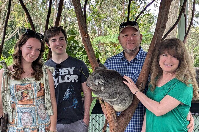 Koala & Kangaroos Experience, Waterfalls and Scenic Train Journey - Key Points