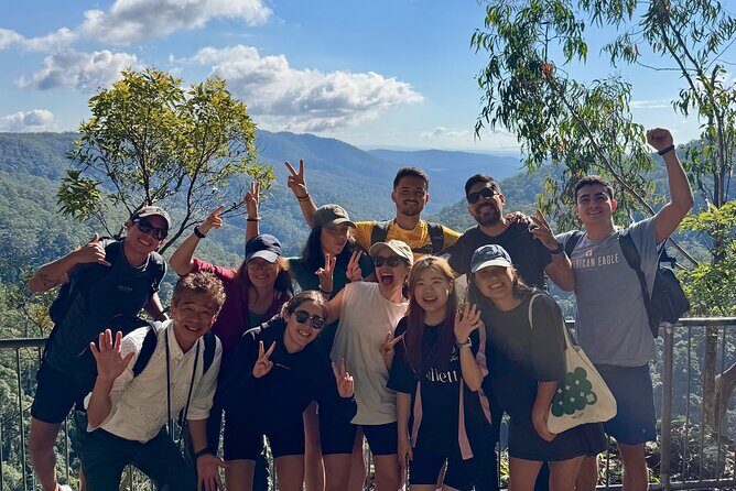 Koalas, 6 Springbrook Waterfalls and Natural Bridge Day Tour - What to Expect at Each Stop