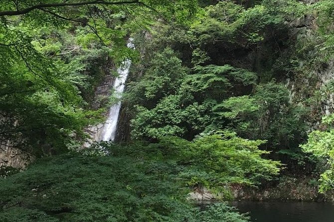 Kobe Private Tour From Osaka (Shore Excursion Available From Osaka or Kobe Port) - Physical Fitness Requirement