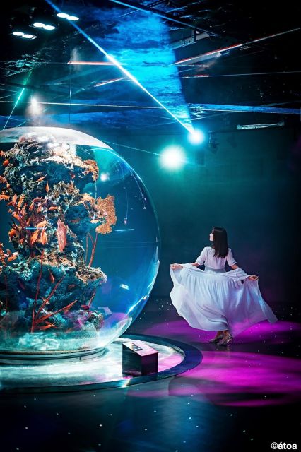 Kobe Urban Aquarium Aquarium×art Átoa Admission Ticket - Visitor Experience