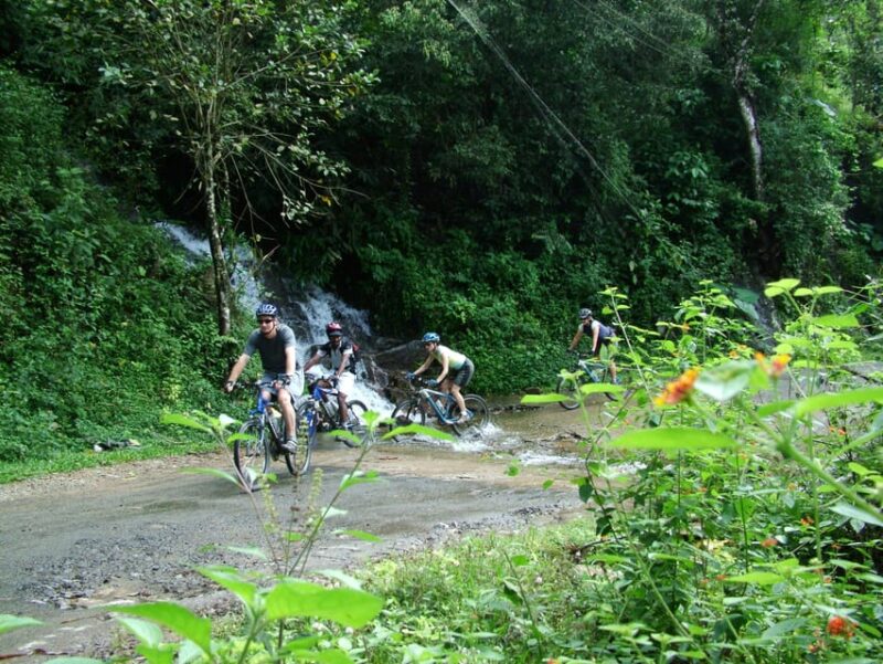 Kochi to Thattekkad/ Kallarkutty/ Munnar Tour (One Way Trip) - Experience Highlights