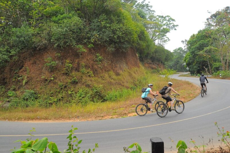 Kochi to Thattekkad/ Kallarkutty/ Munnar Tour (One Way Trip) - Tour Itinerary