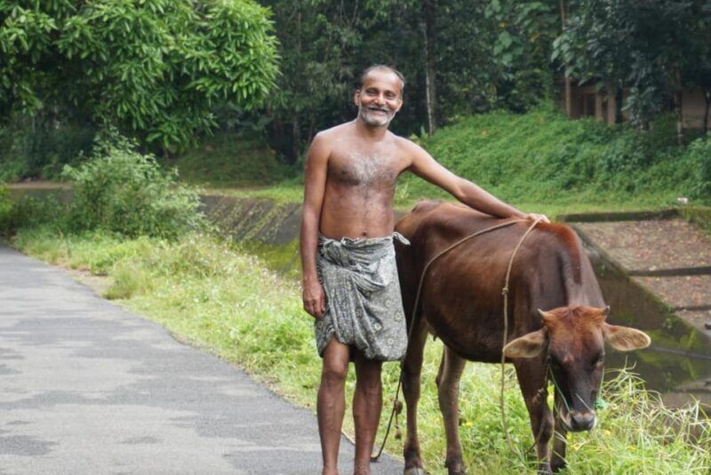 Kochi to Thattekkad/ Kallarkutty/ Munnar Tour (One Way Trip) - Inclusions and Exclusions