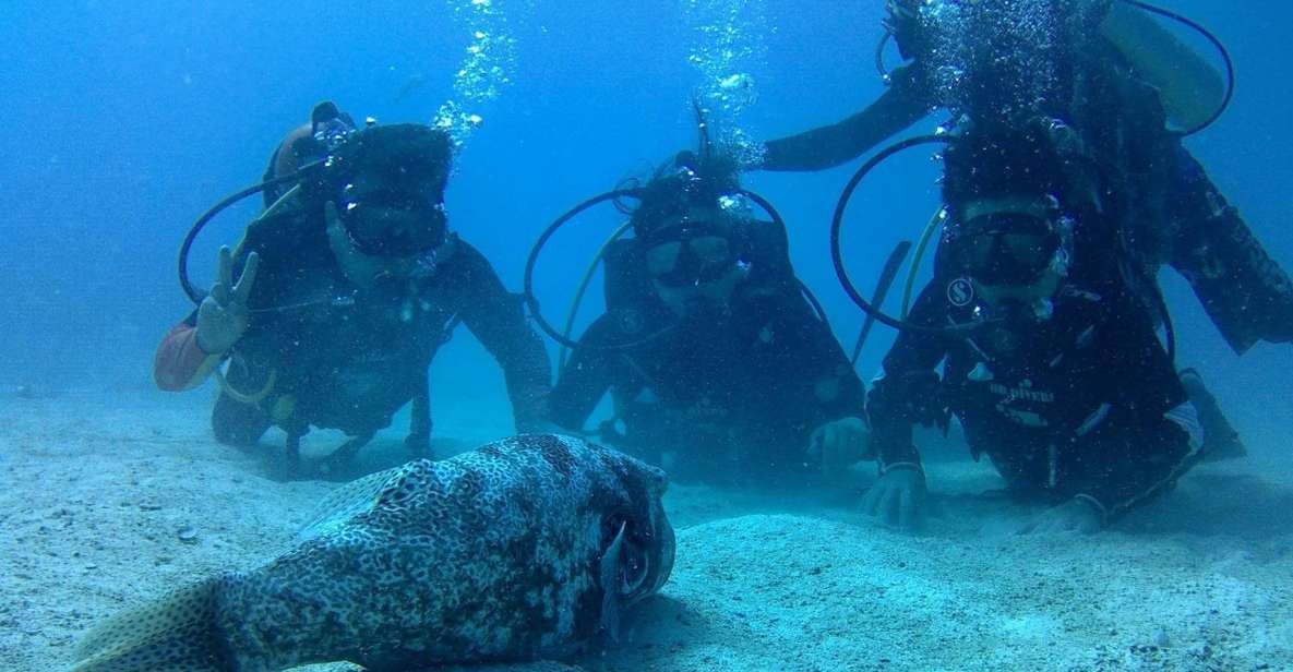 Koh Chang: Discover Scuba Diving for Beginners With 2 Dives - Frequently Asked Questions