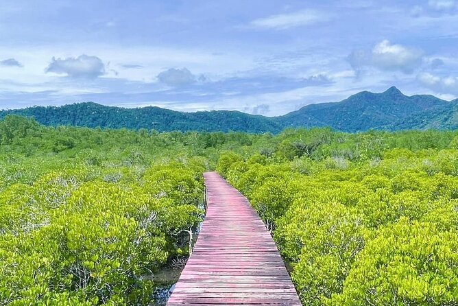 Koh Chang Explorer (joined) - Reviews and Ratings