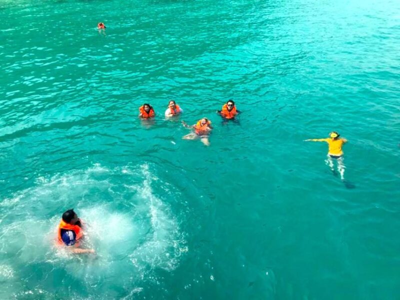 Koh Chang: Full-Day Reefs or Wreck Sites Snorkeling Trip - Key Points