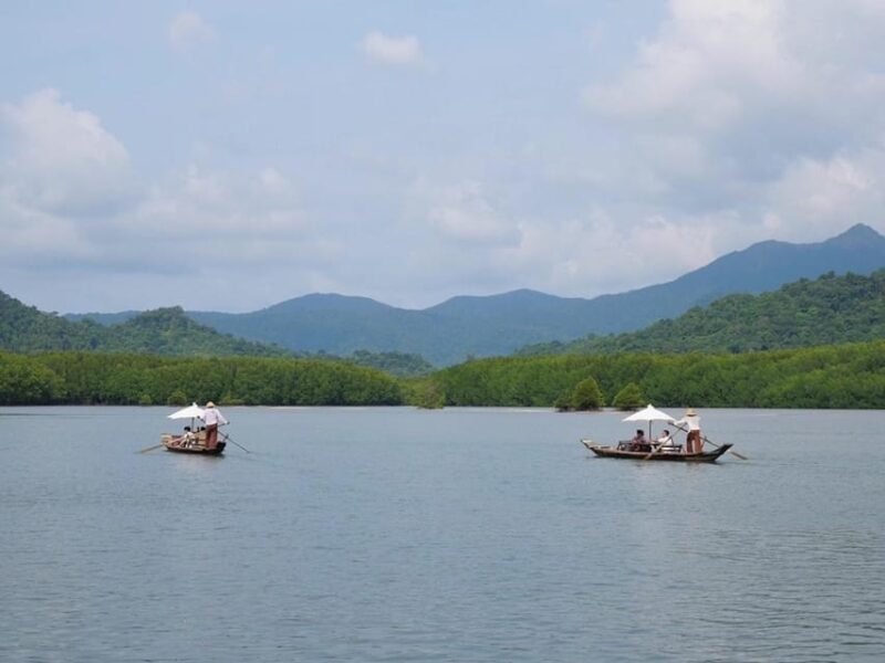 Koh Chang: Mangrove Forest Gondola Tour - Itinerary and Highlights