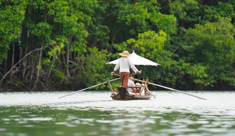 Koh Chang: Mangrove Forest Gondola Tour - Meeting Point and What to Bring