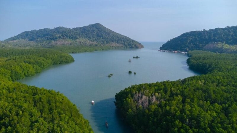 Koh Chang: Mangrove Forest Gondola Tour - Customer Reviews