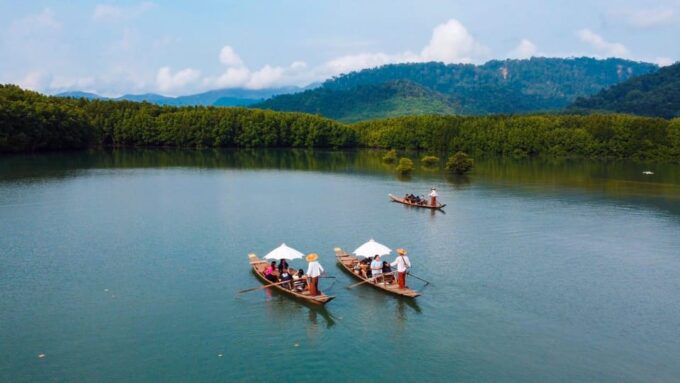 Koh Chang: Mangrove Forest Gondola Tour - Exploring the Mangrove Forest