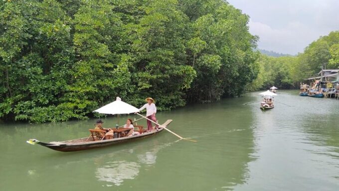 Koh Chang: Mangrove Forest Gondola Tour - Wildlife Spotting in the Gondola