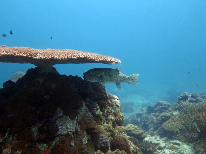 Koh Kood: Discover Scuba Diving for Beginners With 2 Dives - Included in the Experience