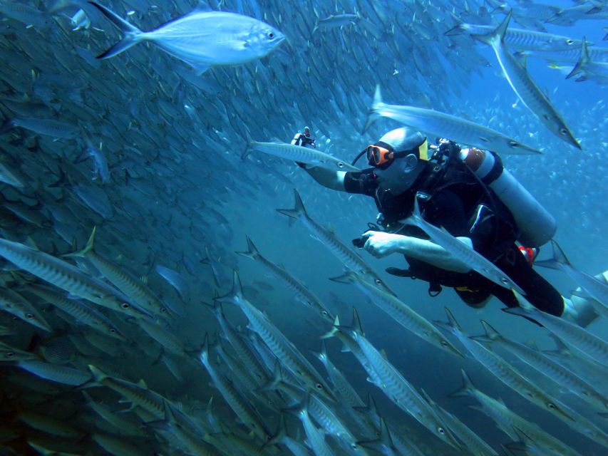 Koh Kood: Discover Scuba Diving for Beginners With 2 Dives - Exclusions and Limitations