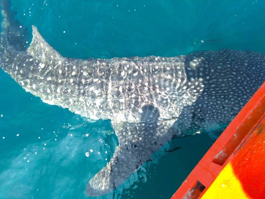 Koh Kood: Discover Scuba Diving for Beginners With 2 Dives - Koh Rang National Park