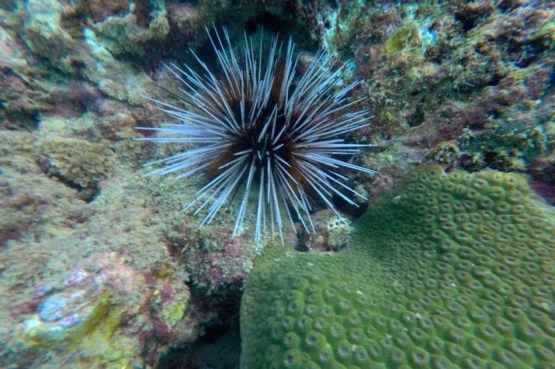 Koh Lanta: 4-Island Adventure Tour to Emerald Cave - Customer Feedback