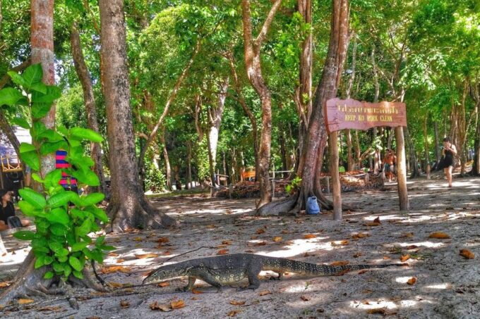 Koh Lanta: Adventure Sea Tour to Koh Rok and Koh Haa - Not Allowed