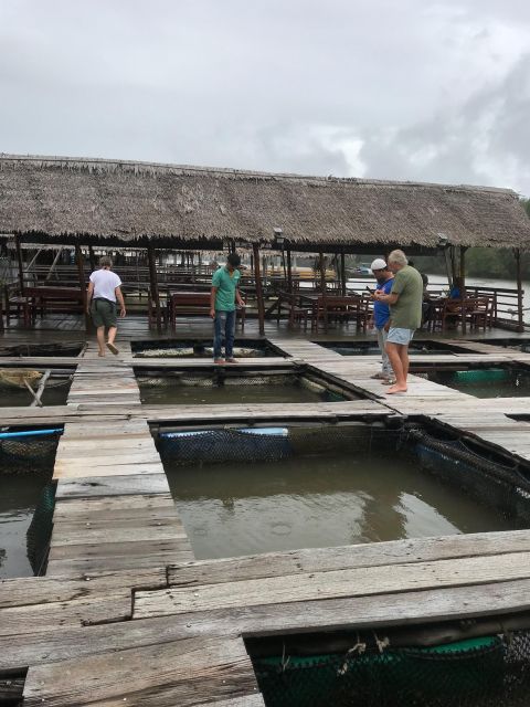 Koh Lanta: Amazon Mangrove Kayaking Tour With Lunch - Customer Feedback and Ratings