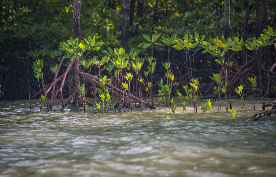 Koh Lanta: Half-Day 3 Island and Kayaking Talabeng - Frequently Asked Questions