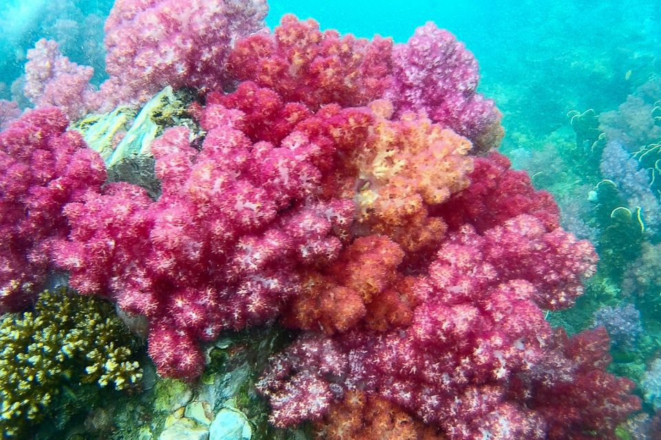 Koh Lipe: Full Day Multi-Island Snorkeling Trip With Lunch - Whats Included