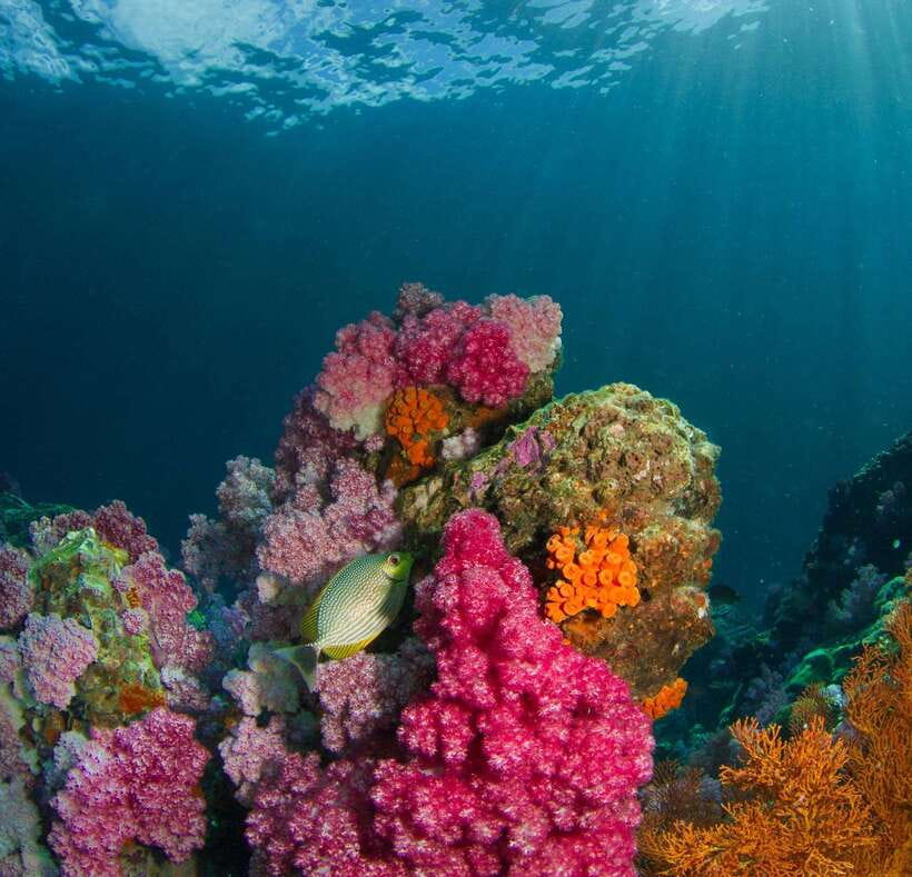 Koh Lipe: Island Hopping by Private Longtail Boat W/ Snorkel - Recommended Items to Bring