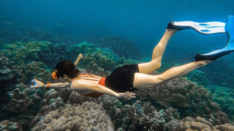 Koh Lipe: Longtail Boat Snorkeling Trip With Lunch - Snorkeling Locations and Highlights