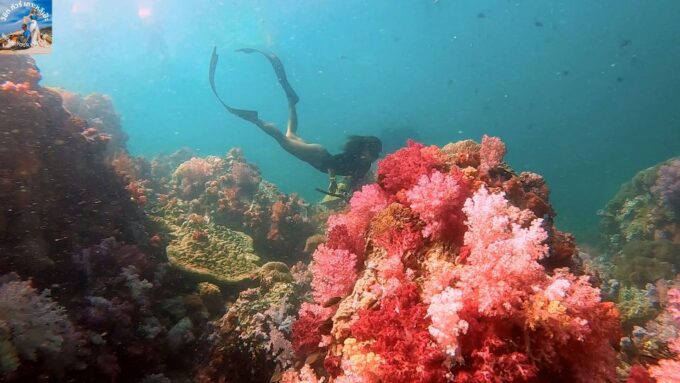 Koh Lipe: Outer Islands Snorkeling Trip by Longtail Boat - Frequently Asked Questions