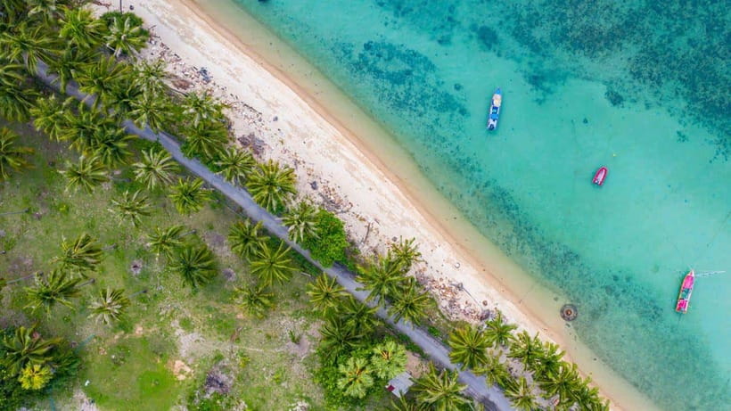 Koh Madsum, Koh Tan & Koh Rap: Private Tour by Speedboat - Interacting With the Pigs on Koh Madsum