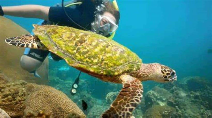 Koh Phangan: Angthong National Park Speedboat Tour - Important Information and Recommendations