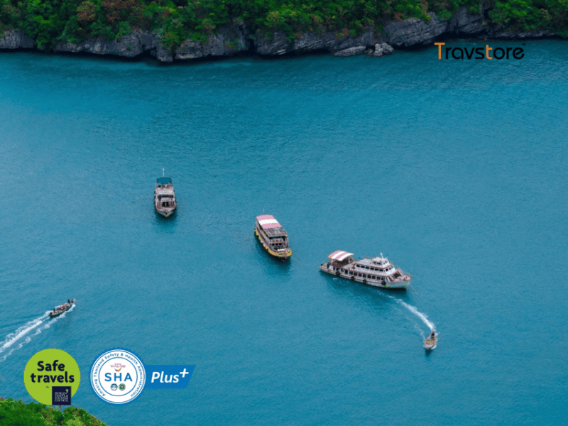Koh Samui Angthong National Marine Park Tour by Speed Boat - Inclusions and Exclusions