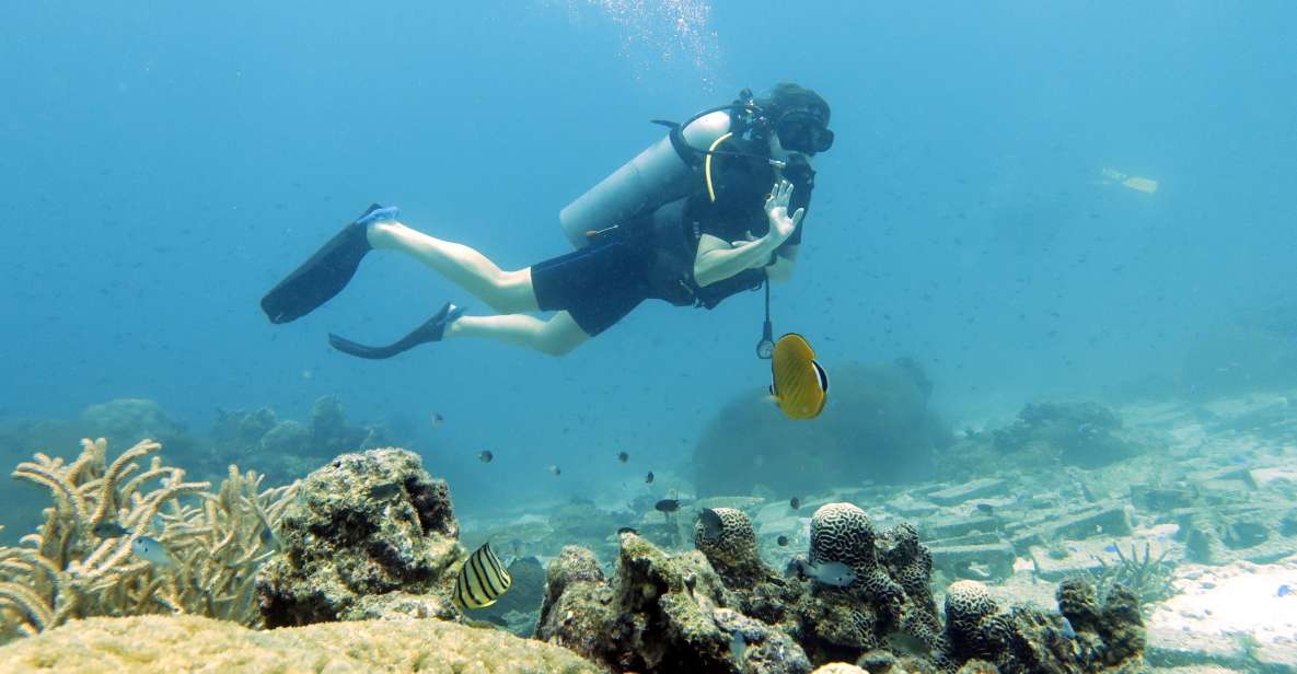 Koh Samui: Day Trip Diving at Sail Rock - Itinerary for the Day