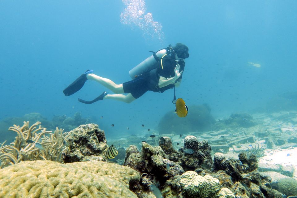 Koh Samui: Day Trip Diving at Sail Rock - Enjoying the Marine Life