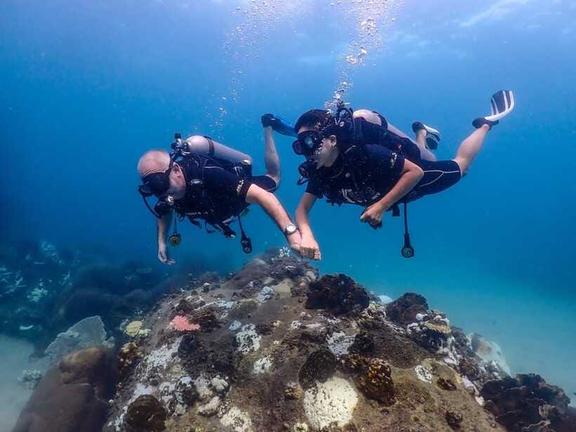 Koh Samui: Discovery Dive to Koh Tao or Sail Rock - Exploring the Underwater World