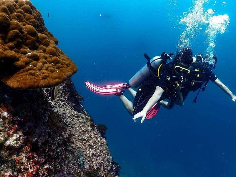 Koh Samui: Dive Tour Chumphon Pinnacles - Overview of the Dive Tour