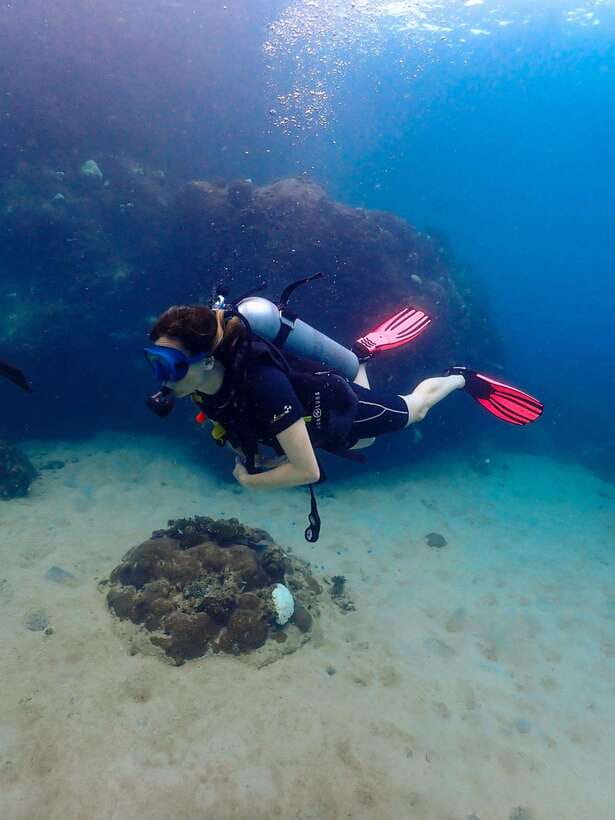 Koh Samui: Dive Tour to Koh Tao - Tour Overview