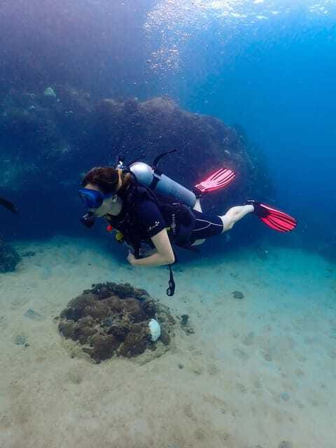 Koh Samui: Dive Tour to Koh Tao - Pickup and Transportation