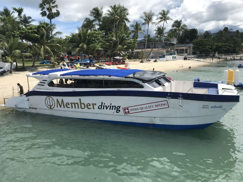 Koh Samui: Dive Trip Experience in Koh Tao - Lunch Break