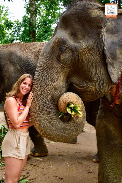 Koh Samui: Elephant Jungle Sanctuary Half-Day Tour - Elephant Feeding and Bathing