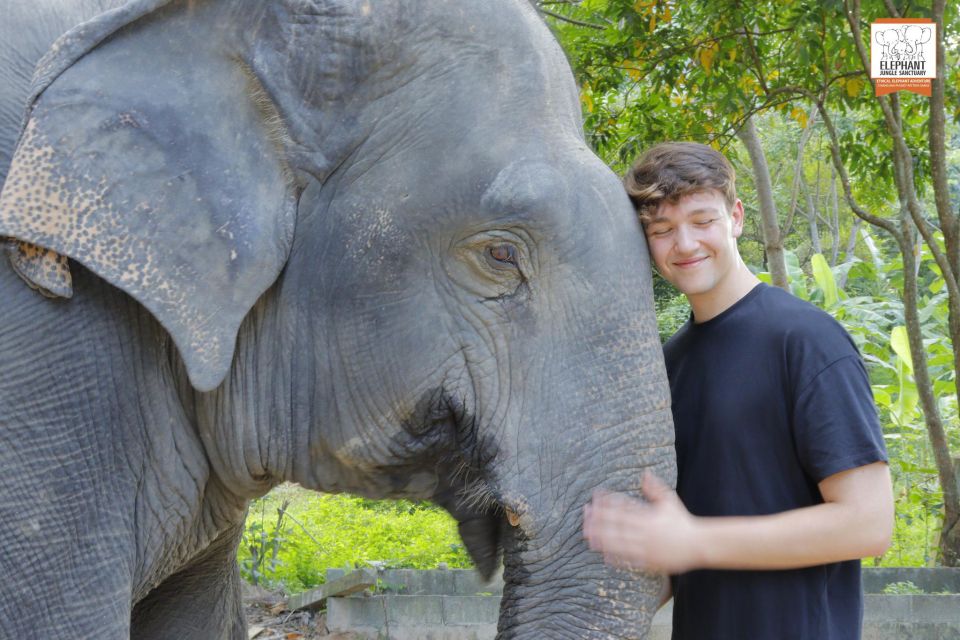 Koh Samui: Elephant Jungle Sanctuary Half-Day Tour - Capturing Memorable Moments