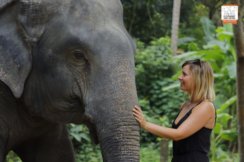 Koh Samui: Elephant Jungle Sanctuary Half-Day Tour - Meal and Refreshments